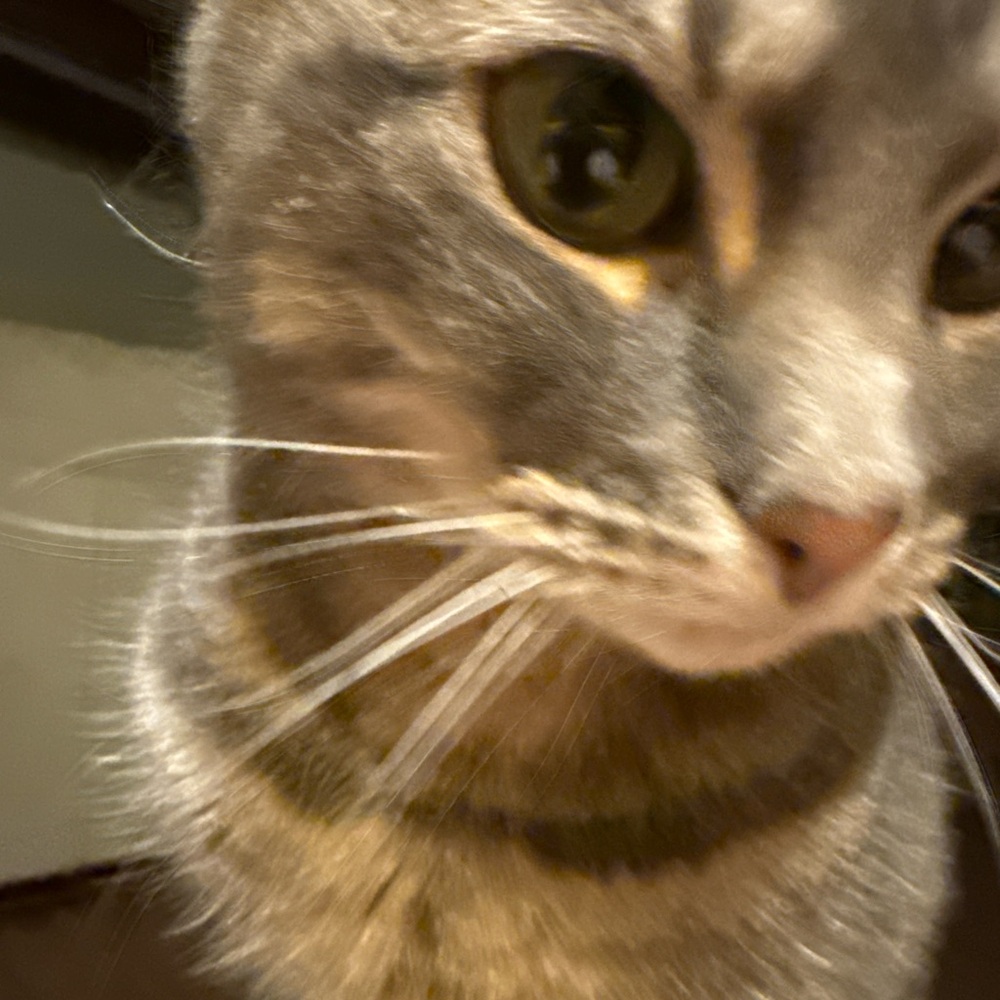 Meet your Posher, Becca